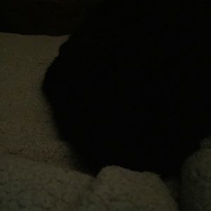 Meet your Posher, Kristi