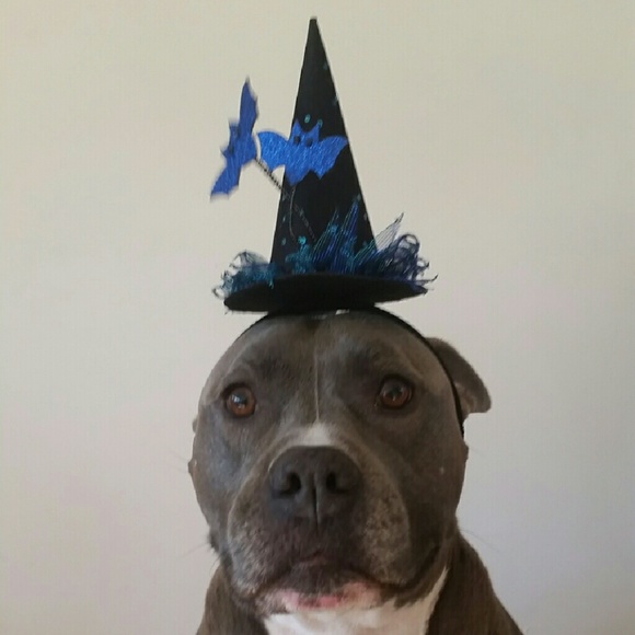 Meet your Posher, Laina