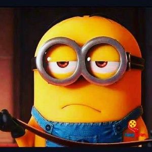 Meet your Posher, Ernesto