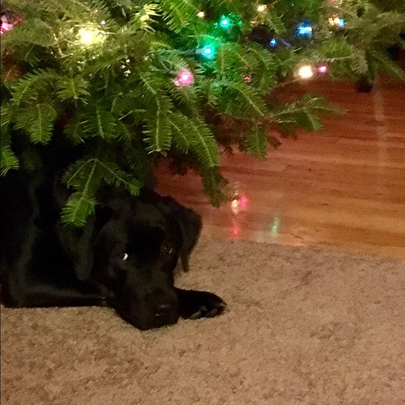 ๐NEW Follow Game at the top of my closet๐ - Picture 4 of 4