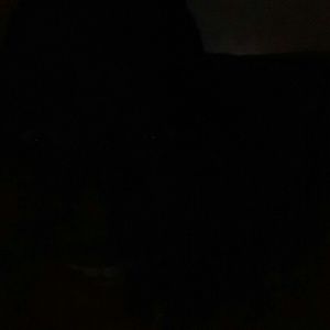 Meet your Posher, Sonya