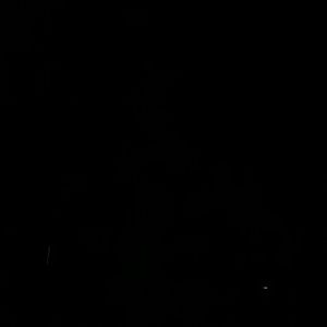 Meet your Posher, Trae