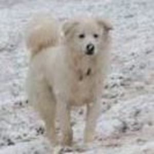 Meet your Posher, Maura