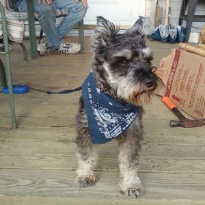 Meet your Posher, Ruby