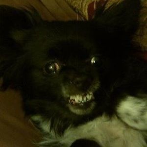 Meet your Posher, Mary elizabeth