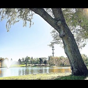 Meet your Posher, Geidy