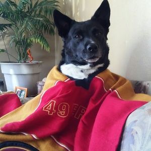 Meet your Posher, Peggy