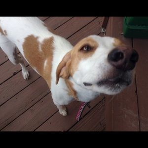 Meet your Posher, Rosemary