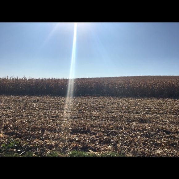 Meet your Posher, Hannah - Picture 1 of 1