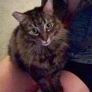 Meet your Posher, Lucy