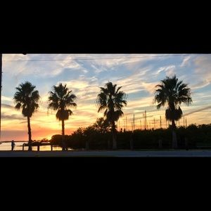 Meet your Posher, Eva