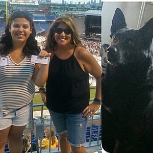 Meet your Posher, Dolce