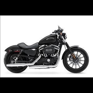 Meet your Posher, Gus