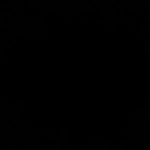 Meet your Posher, Junior