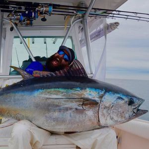 Meet your Posher, Landon