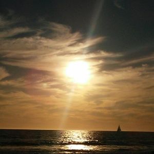 Meet your Posher, Bruce