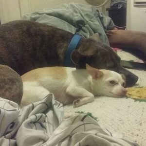 Meet your Posher, Timothy