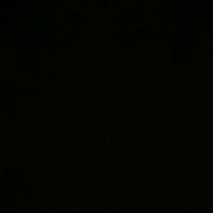 Meet your Posher, Elois