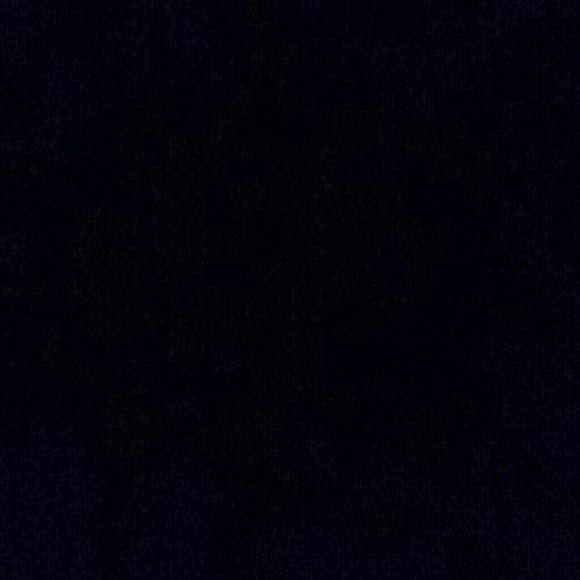 Meet your Posher, Sammy - Picture 1 of 1