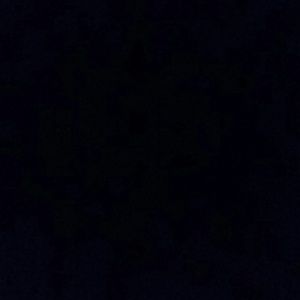 Meet your Posher, Sammy