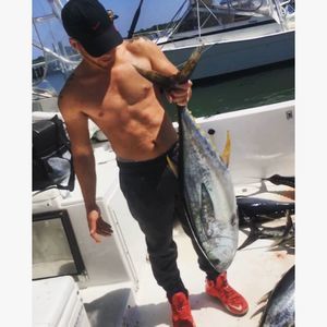 Meet your Posher, Joey