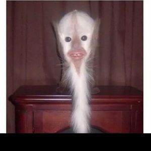 Meet your Posher, Devonte