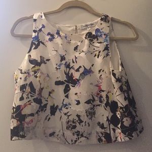 Elizabeth and James crop top