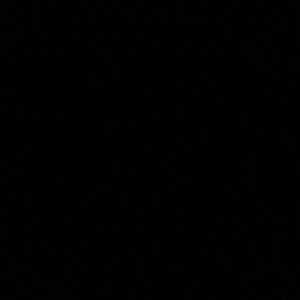 Meet your Posher, Allyson