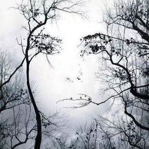 Meet your Posher, Dianne