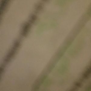 Meet your Posher, Jade