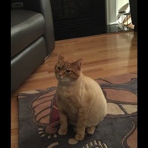 Meet your Posher, Kay