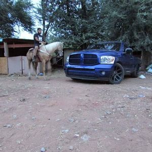 Meet your Posher, George