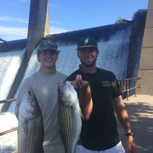 Meet your Posher, Austin