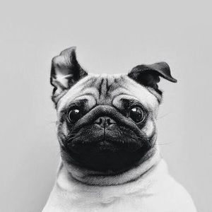 Meet your Posher, Zoe