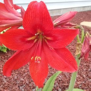 Meet your Posher, Devon