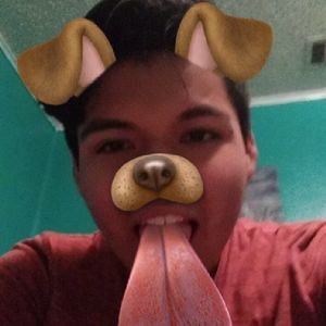 Meet your Posher, Alfredo