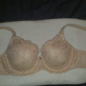 Nude Lace VS Bra