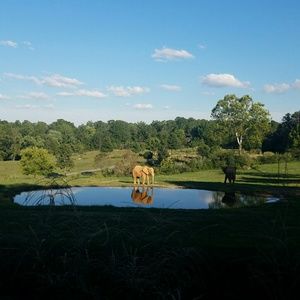 Meet your Posher, Sallie