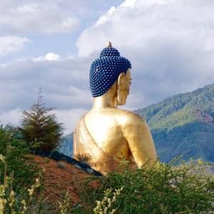 Meet your Posher, Sonam