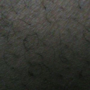 Meet your Posher, King