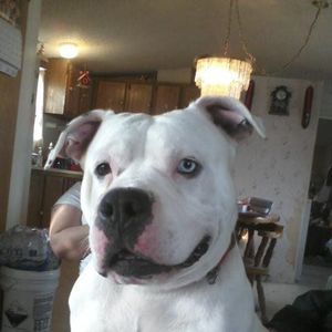 Meet your Posher, Sherry