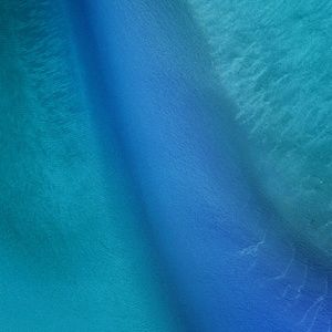 Meet your Posher, Zach