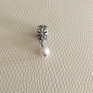 Pandora Charm