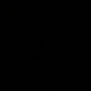 Meet your Posher, Antonio