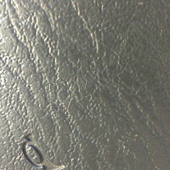 Meet your Posher, Gidget