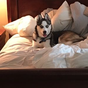 Meet your Posher, Nichole