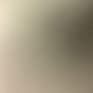 Meet your Posher, Rina