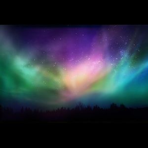 Meet your Posher, Randi