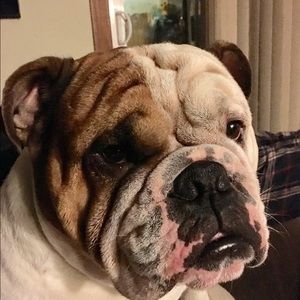 Meet your Posher, Lori