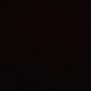 Meet your Posher, Bobby